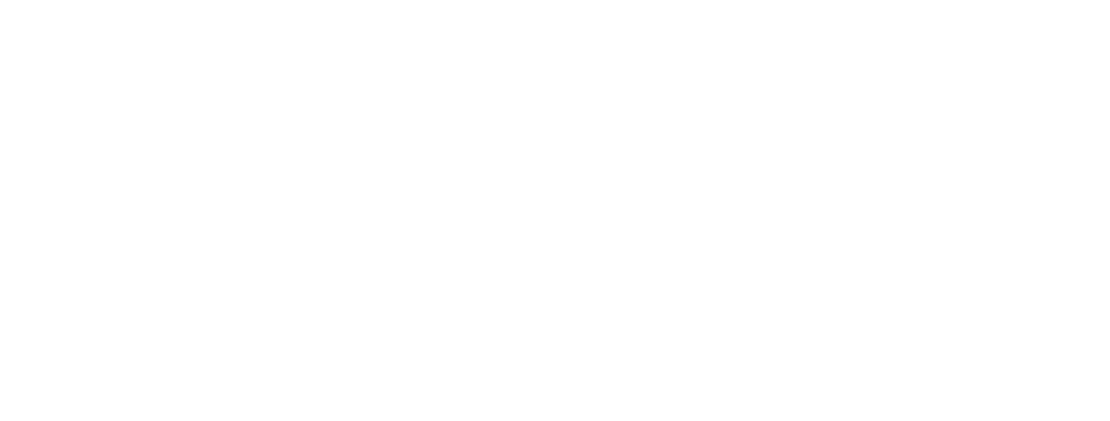 DSM Associates